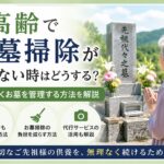 高齢でお墓掃除ができず悩む高齢女性がお墓の前で手を合わせている様子。無理なくお墓を管理する方法やお墓掃除代行について解説する記事のアイキャッチ画像。